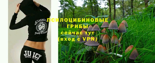 дурь Алексин