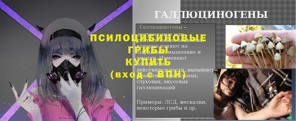 дурь Алексин