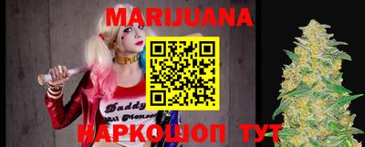 Альфа ПВП Бийск
