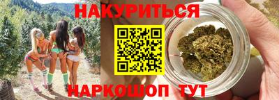 Альфа ПВП Бийск