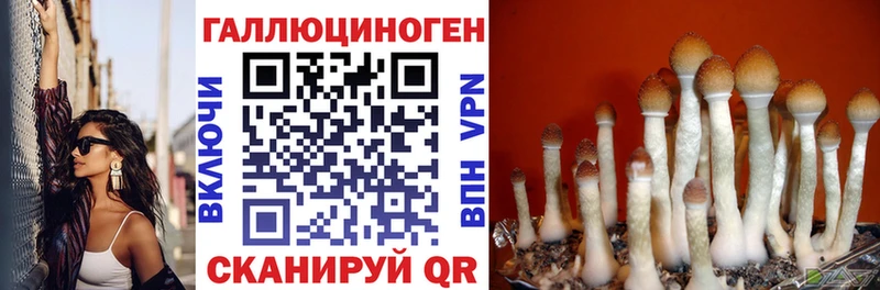kraken ТОР  Балашиха  Псилоцибиновые грибы мухоморы 