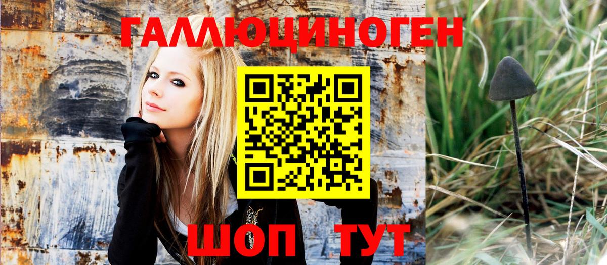 Псилоцибиновые грибы Psilocybe  Вход с VPN  Балашиха 